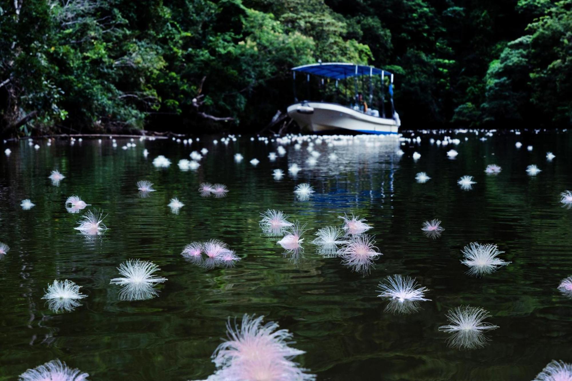 Iriomote Hotel By Hoshino Resorts Urauchi Dış mekan fotoğraf