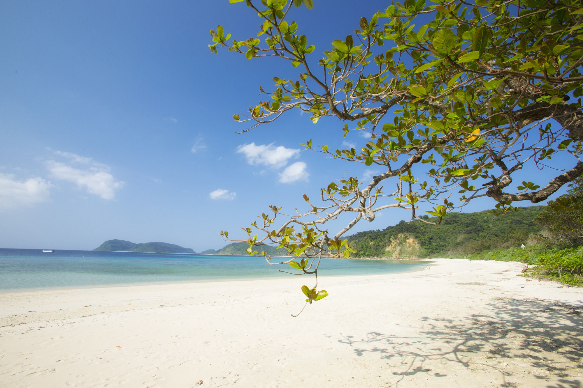 Iriomote Hotel By Hoshino Resorts Urauchi Dış mekan fotoğraf